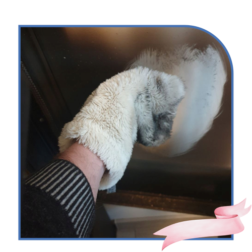 e942cdbfa224d823a357d4f1ee624143.png